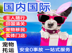 龙嘉机场邮寄国际宠物托运 【国