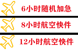 龙嘉机场邮寄快递公司,专业空运当天件